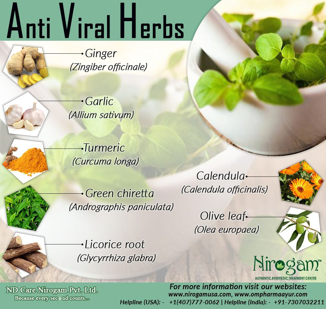 Antiviral herbs