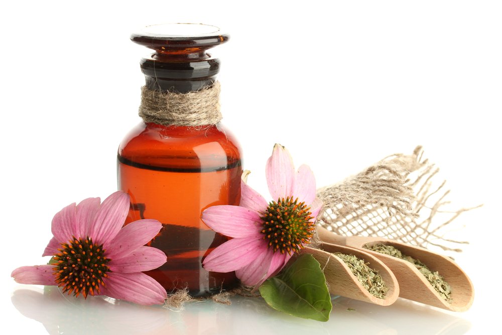 ECHINACEA FOR HERPES CURE