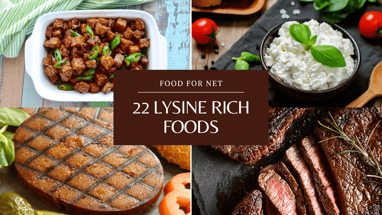 Foods High In Lysine : Best Foods Worst Foods To Avoid Herpes Outbreaks ...