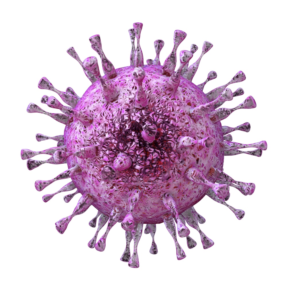 Herpes simplex virus gD antibody