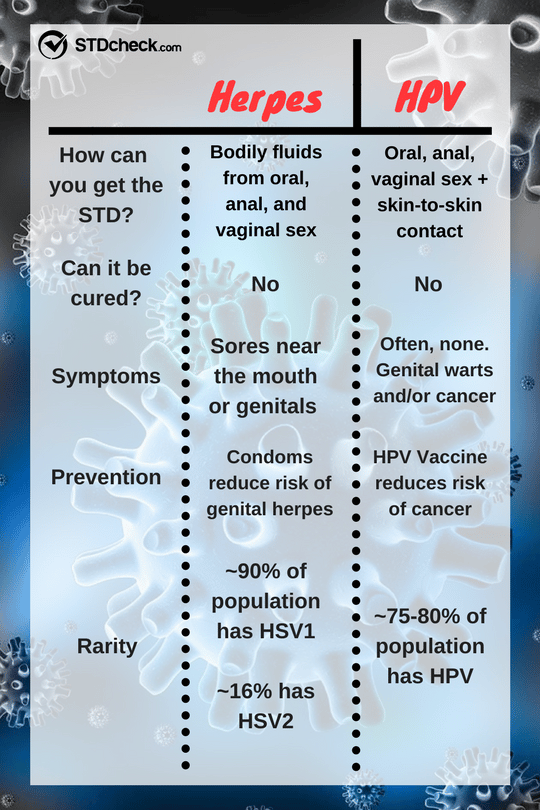 Herpes Vs. HPV: The Complete Breakdown