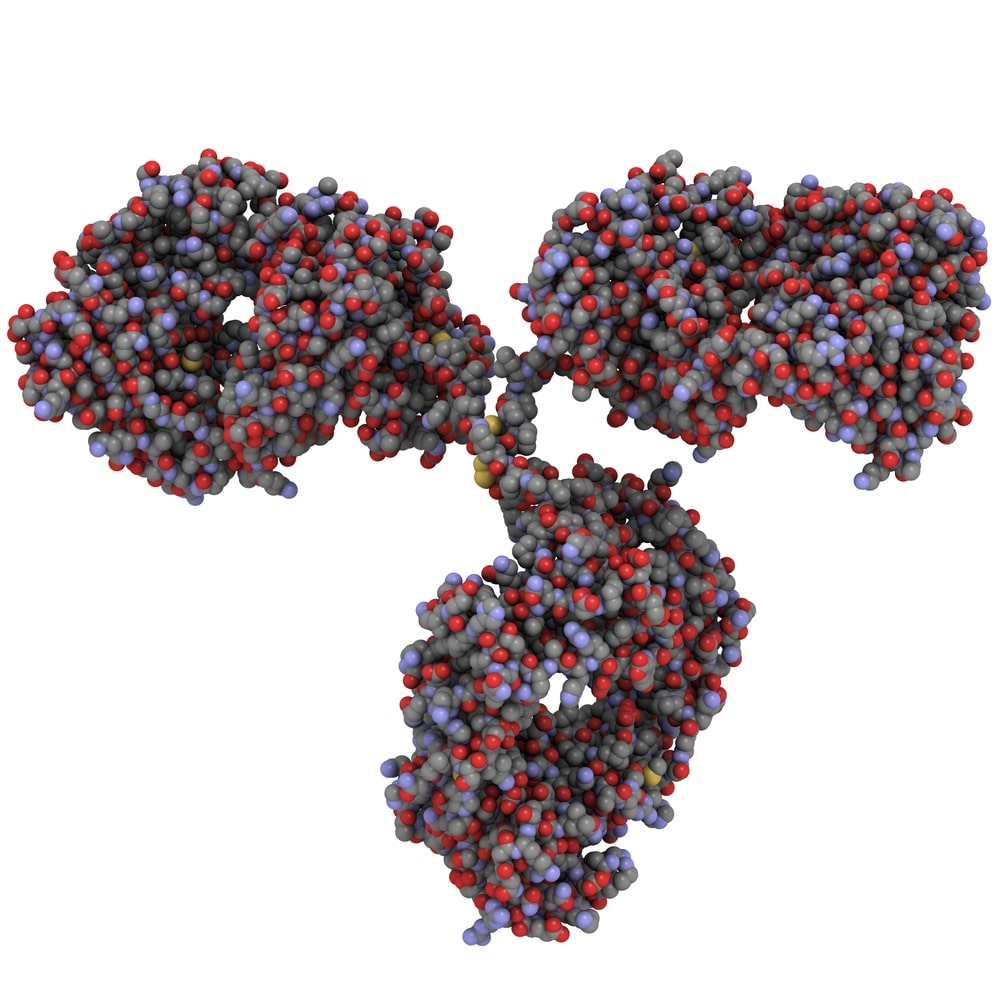 HSV Glycoprotein D antibody (clone E317)