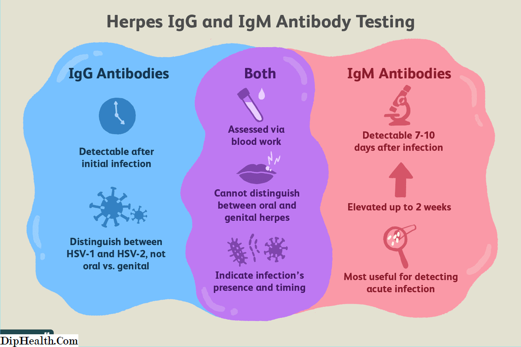 ¿Qué significa una prueba de sangre positiva para el Herpes IgG?