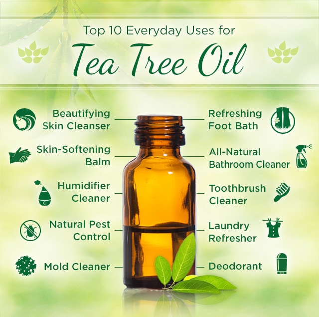 Top 15 Uses of Tea Tree Oil