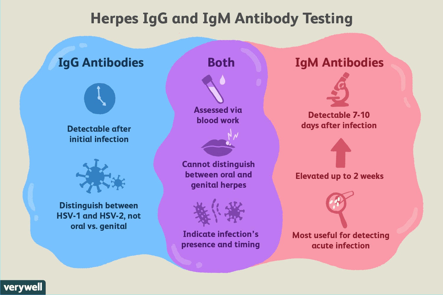 What Does a Positive Herpes IgG Blood Test Mean?