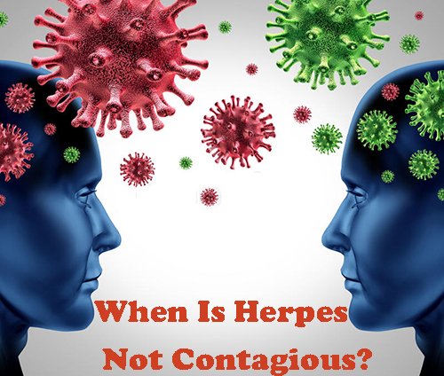 When is herpes most contagious and no longer contagious? Awesome facts